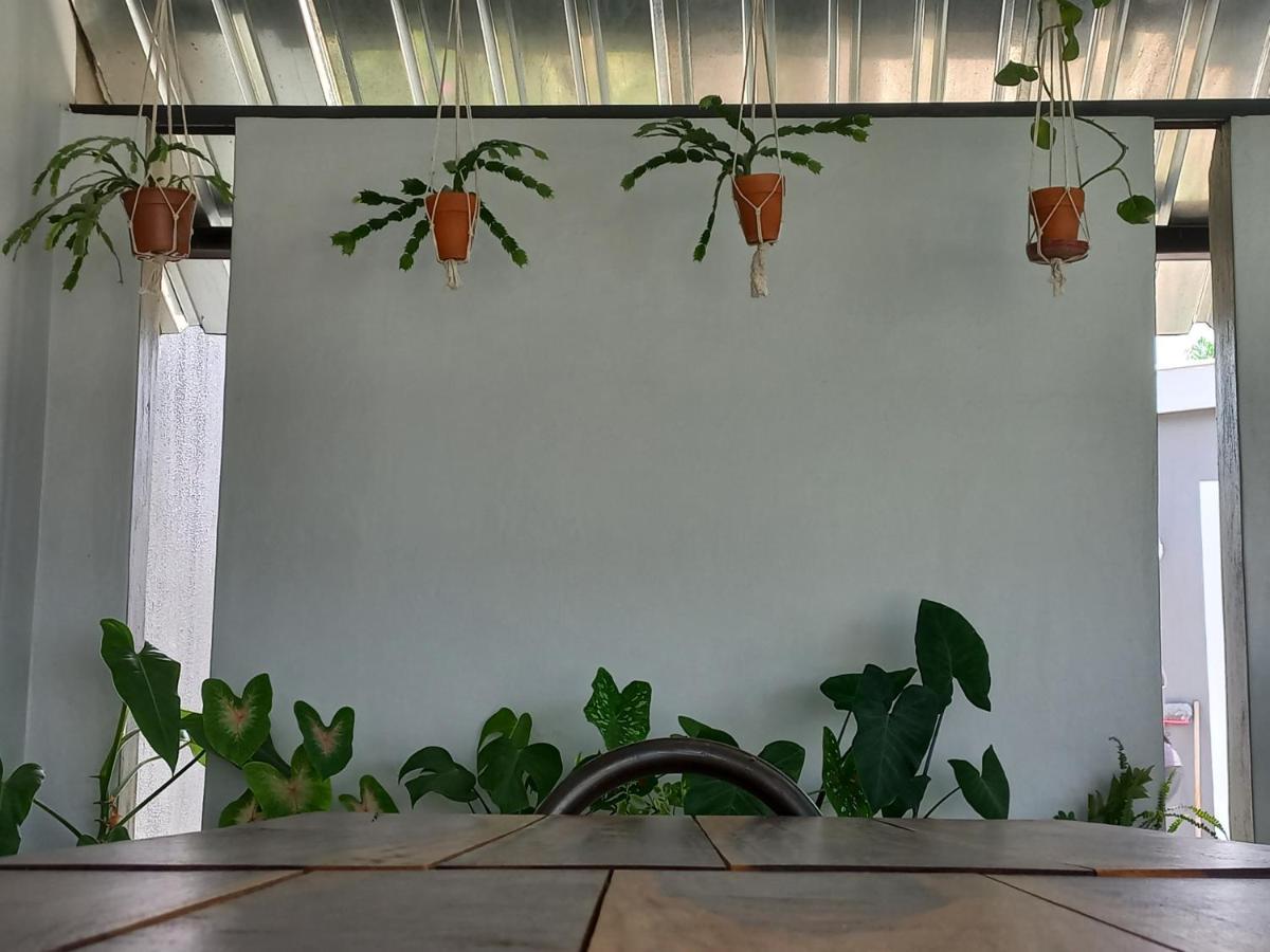 Urban Farm Haus Guesthouse Рунду Екстериор снимка